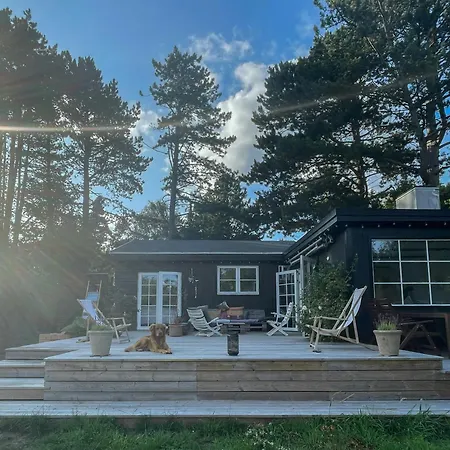 With Recycled Finds Near Nature