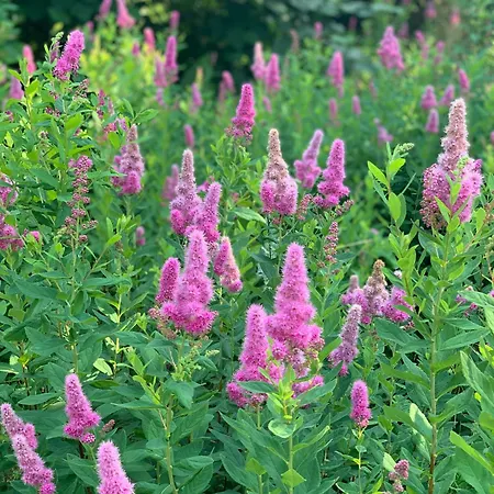 펜션 With Recycled Finds Near Nature