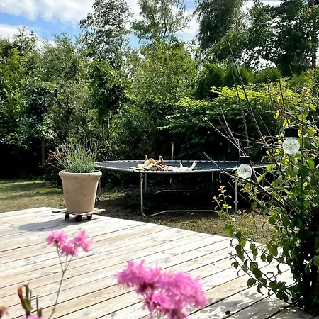 펜션 With Recycled Finds Near Nature